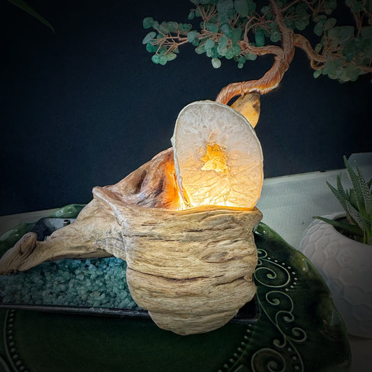 Rooted Clarity