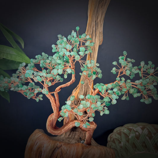 Momentum Tree