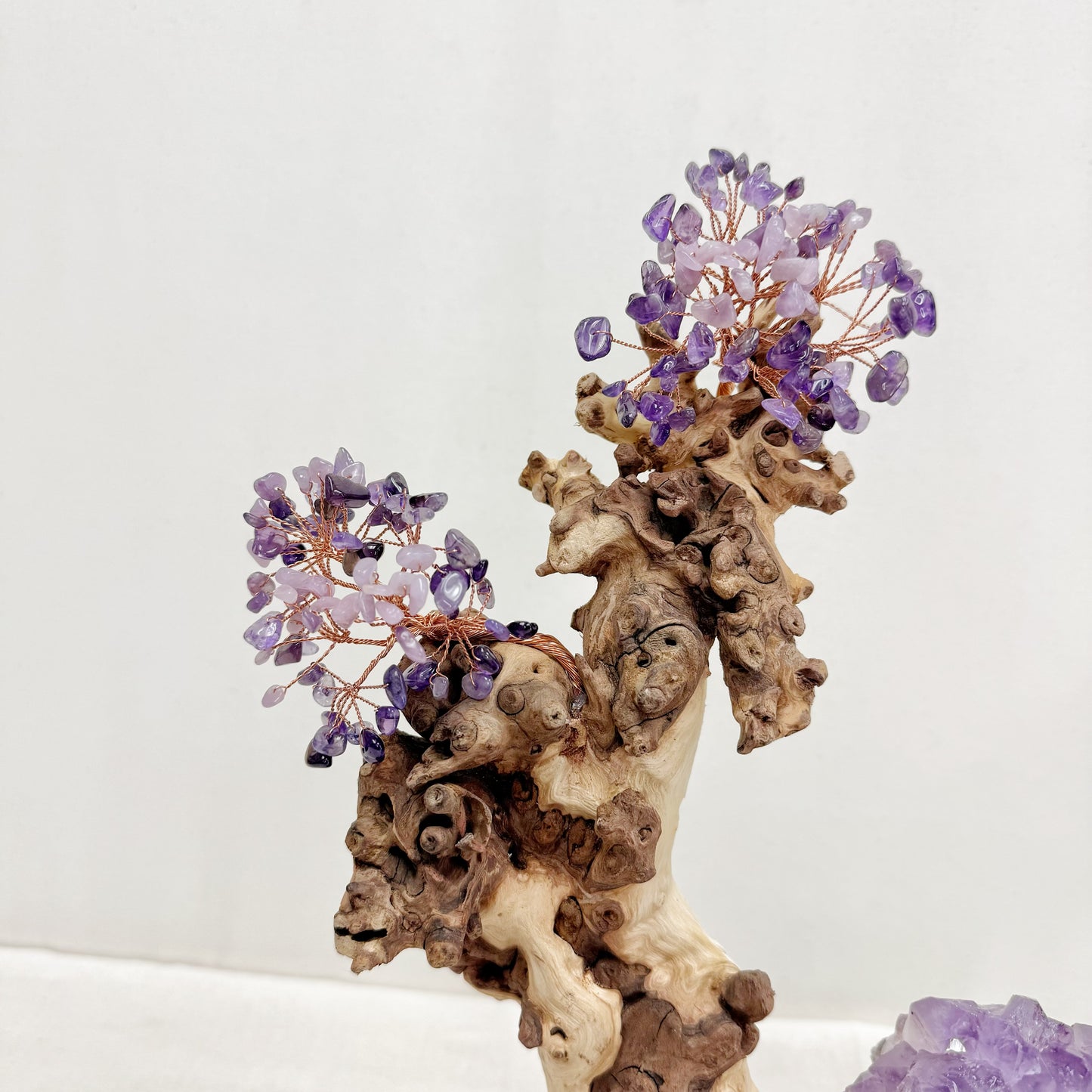 Soul Flame Tree · Amethyst Awakening