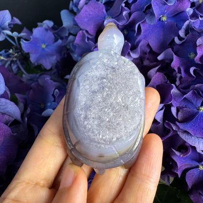 Treasure Turtle of AbundanceT#004