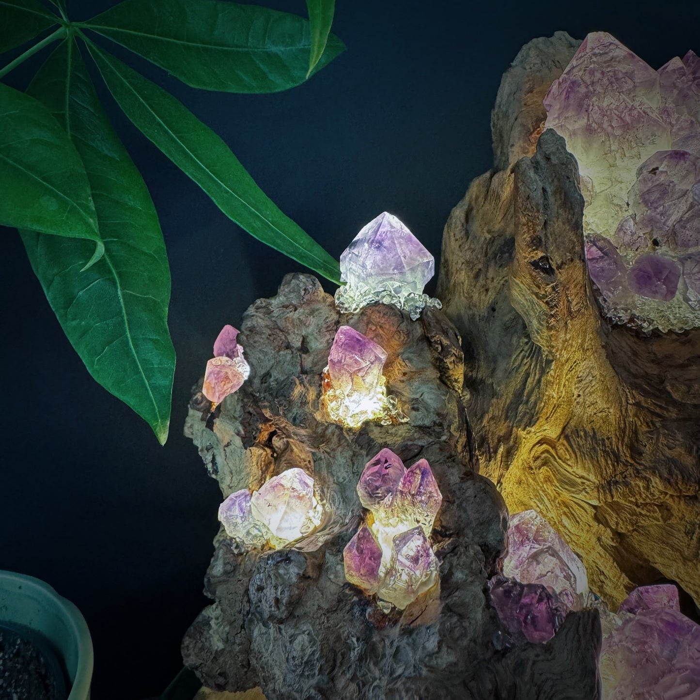 Mountain Flame · Amethyst Light on Ancient Wood
