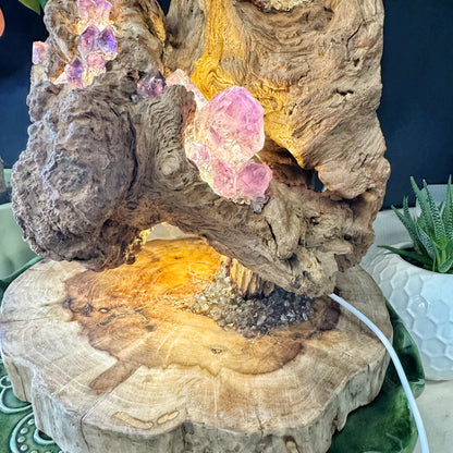 Mountain Flame · Amethyst Light on Ancient Wood