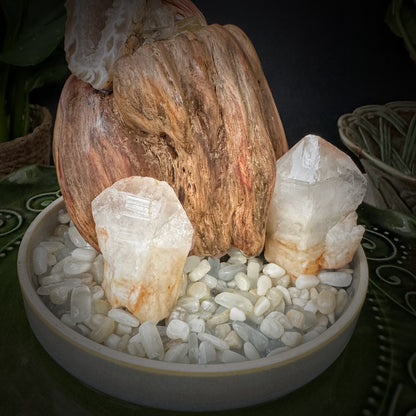 White Crystal Pine · Geode Energy Tree