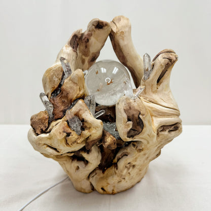 Fortune Vessel