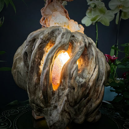 Prosperity Nest · A Feng Shui Crystal Tree for Wealth Flow and Energetic Containment