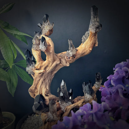 Tree of Grounding · Smoky Quartz on Ancient Wood