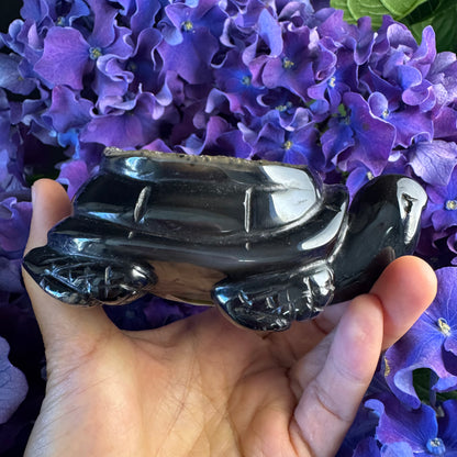 Treasure Turtle of AbundanceT#003