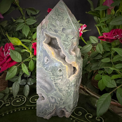 Moss Agate of Flow#2522004