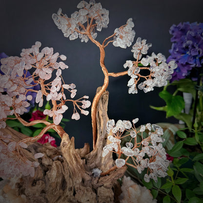 Circle of Love · Tree of Harmony and Emotional Resonance