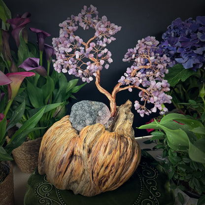Lilac Flame Tree of Balance