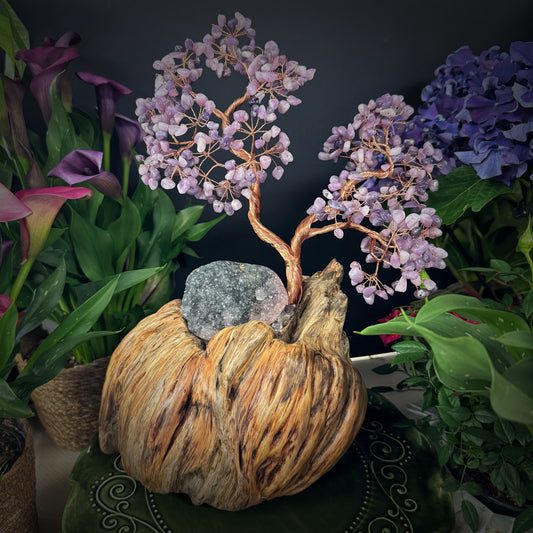 Lilac Flame Tree of Balance