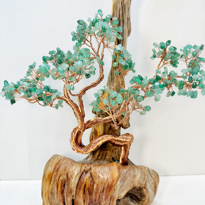 Momentum Tree