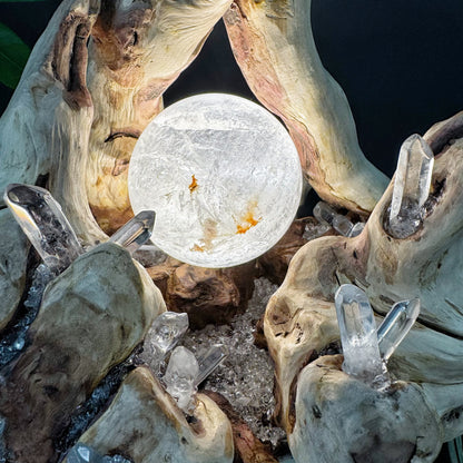 Fortune Vessel