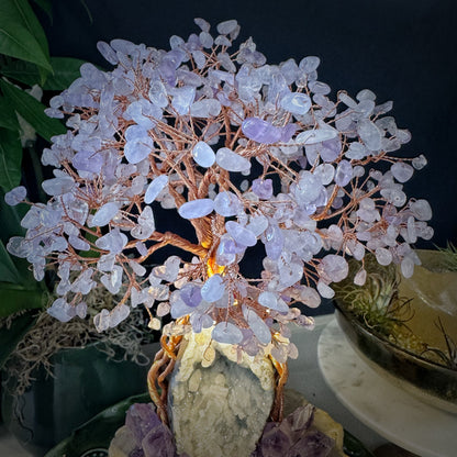 Amethyst Flame Tree