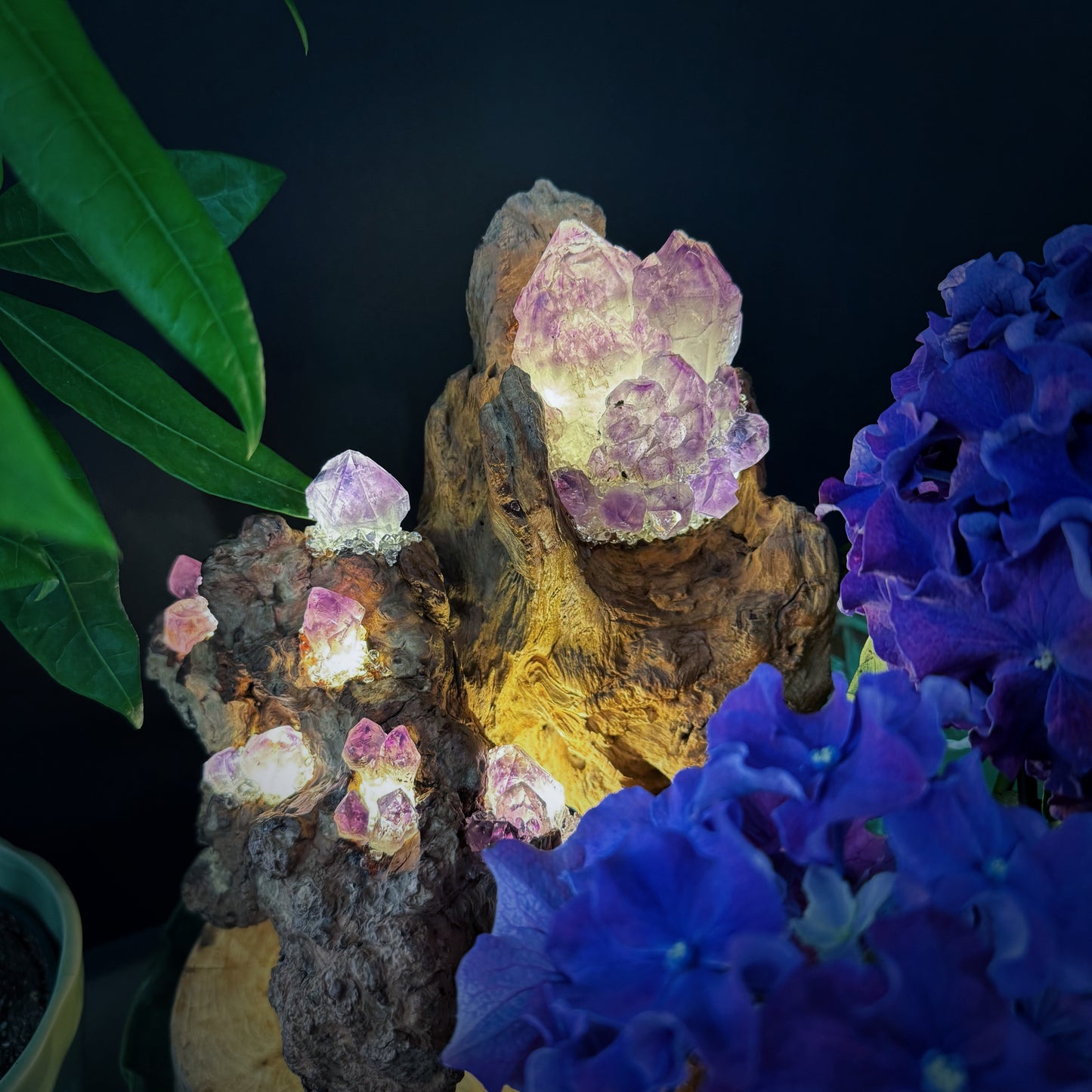 Mountain Flame · Amethyst Light on Ancient Wood