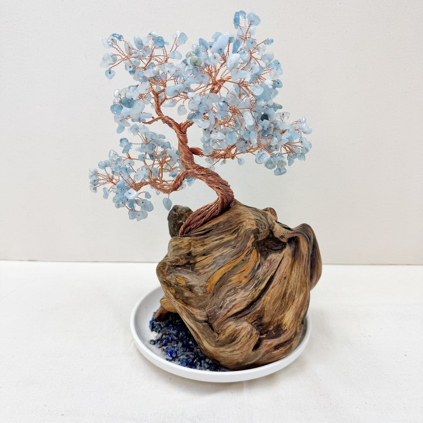 The Silent Sea Tree