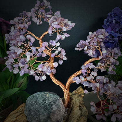 Lilac Flame Tree of Balance