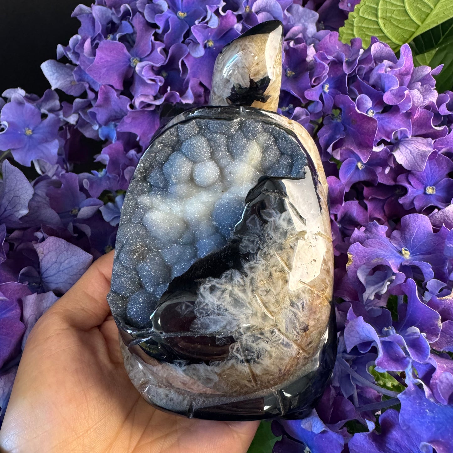 Treasure Turtle of Abundance T#002