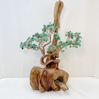 Momentum Tree