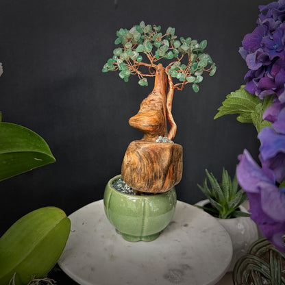 Gourd of Growth