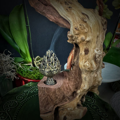 The Rooted Whisper