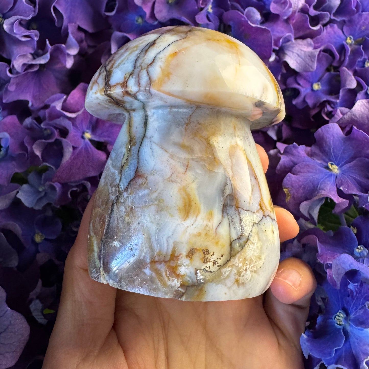 Ocean Wisdom Mushroom