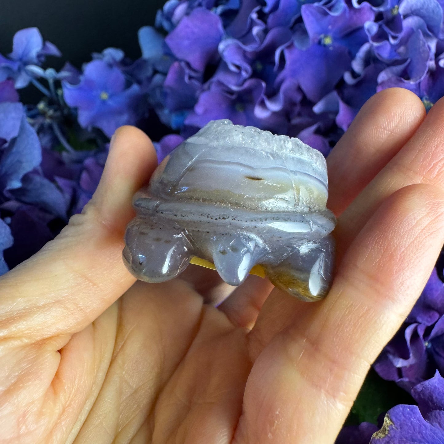 Treasure Turtle of AbundanceT#004