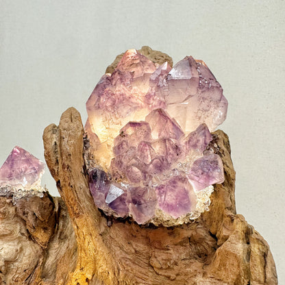 Mountain Flame · Amethyst Light on Ancient Wood