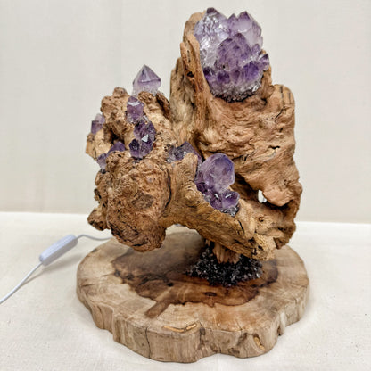 Mountain Flame · Amethyst Light on Ancient Wood