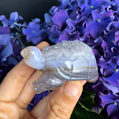 Treasure Turtle of AbundanceT#004