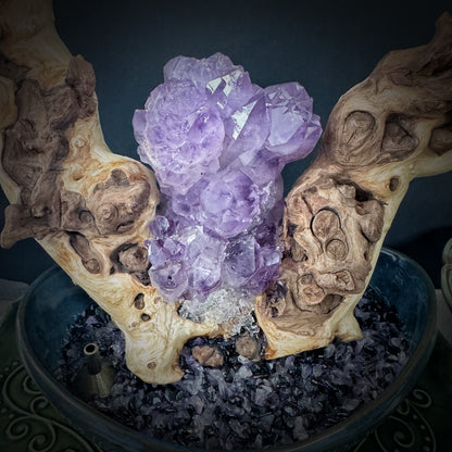 Soul Flame Tree · Amethyst Awakening