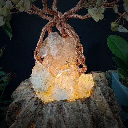 Prosperity Nest · A Feng Shui Crystal Tree for Wealth Flow and Energetic Containment