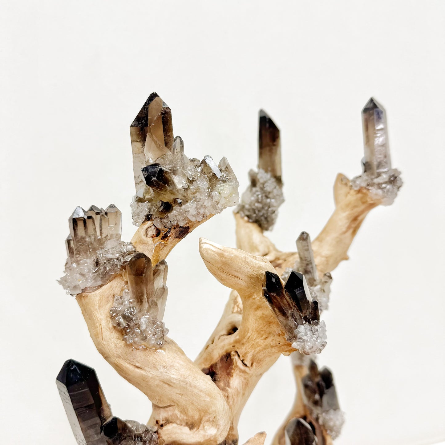 Tree of Grounding · Smoky Quartz on Ancient Wood