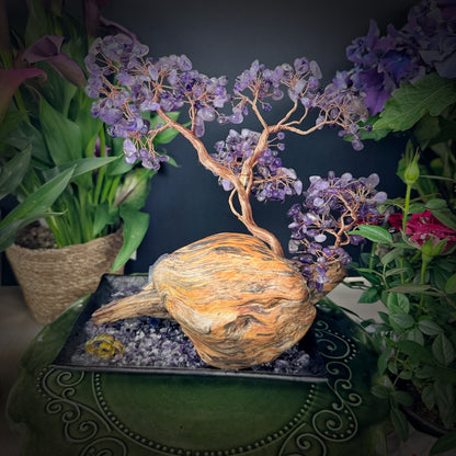 Amethyst Grove of Stillness