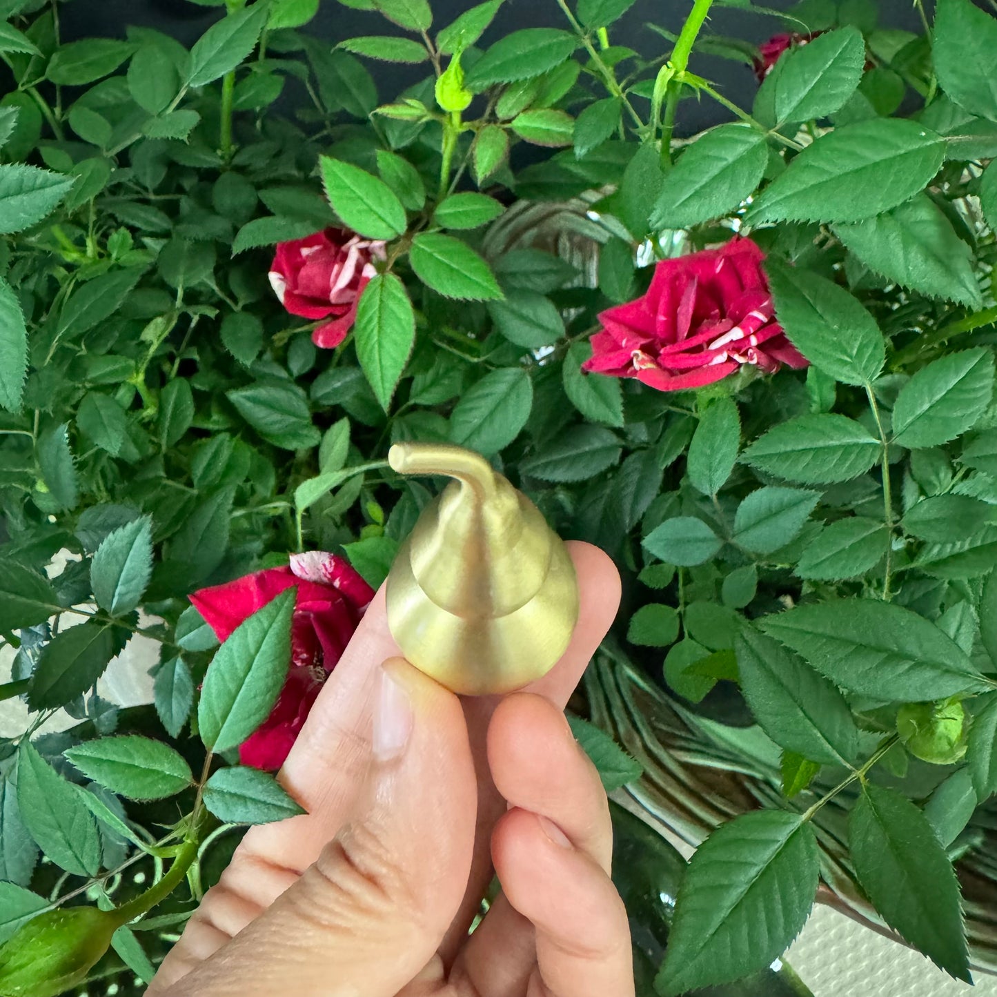 Sacred Copper Gourd