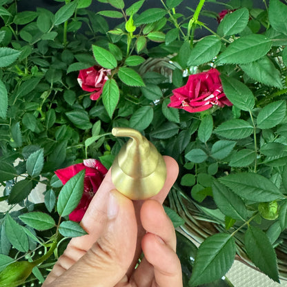 Sacred Copper Gourd