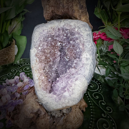 Mystic Bloom