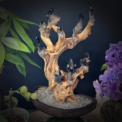 Tree of Grounding · Smoky Quartz on Ancient Wood
