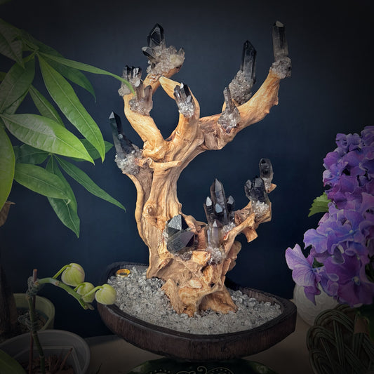Tree of Grounding · Smoky Quartz on Ancient Wood