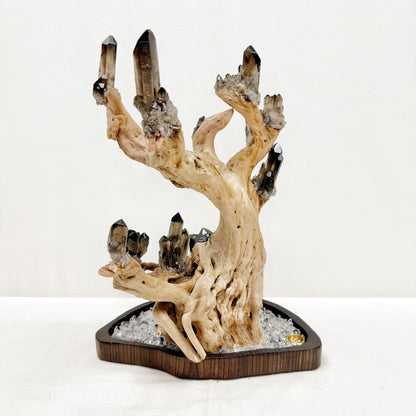 Tree of Grounding · Smoky Quartz on Ancient Wood