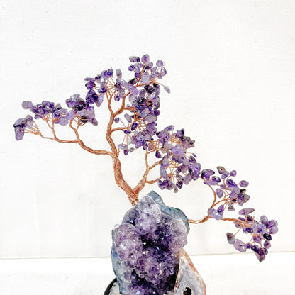 Purple Amethyst Bonsai · Crystal Cave Energy Tree