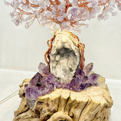 Amethyst Flame Tree