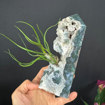 Moss Agate of Flow#2522005