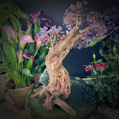 Mystic Bloom