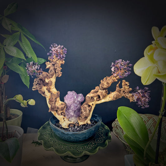 Soul Flame Tree · Amethyst Awakening