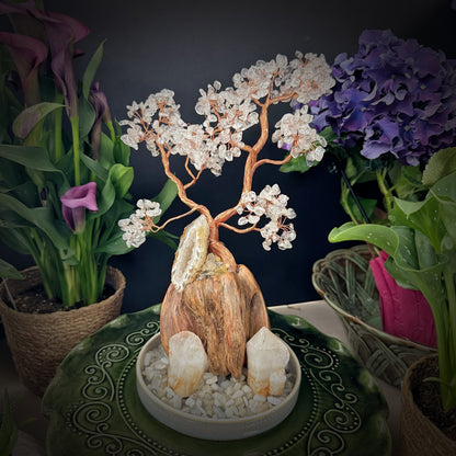 White Crystal Pine · Geode Energy Tree