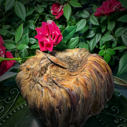 The Heart of the Forest#250522002