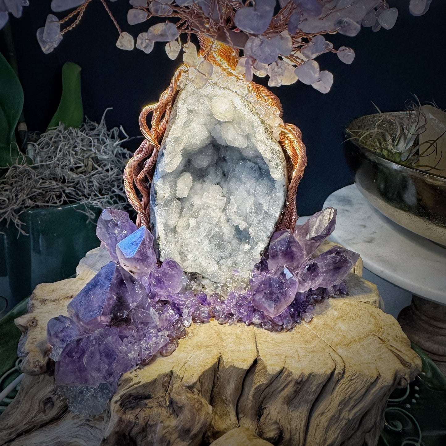 Amethyst Flame Tree