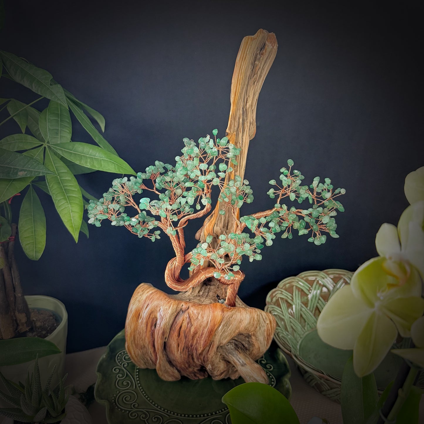 Momentum Tree