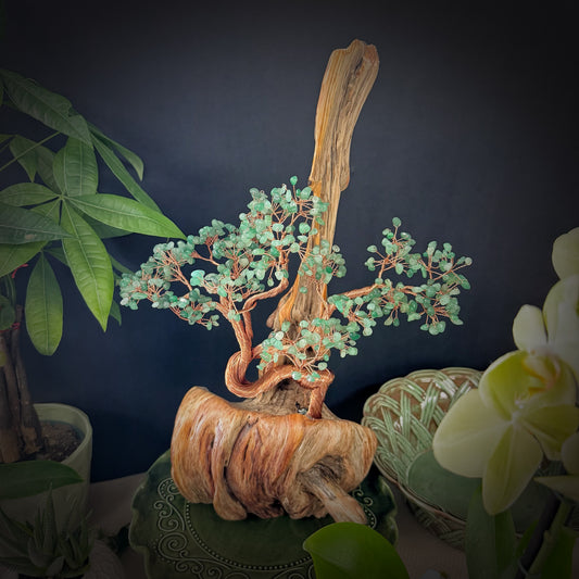 Momentum Tree